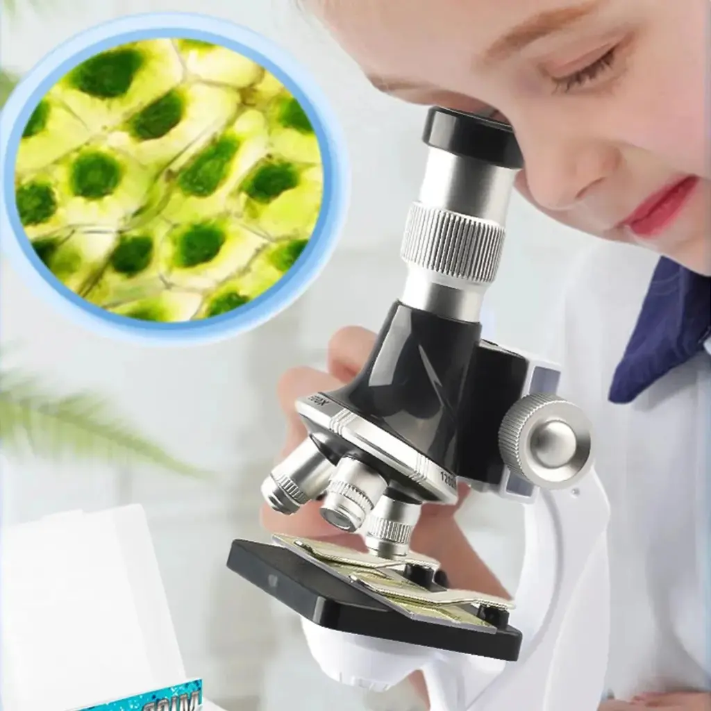 WhatsApp Image 2026-02-06 at 5.36.34 PM.webp