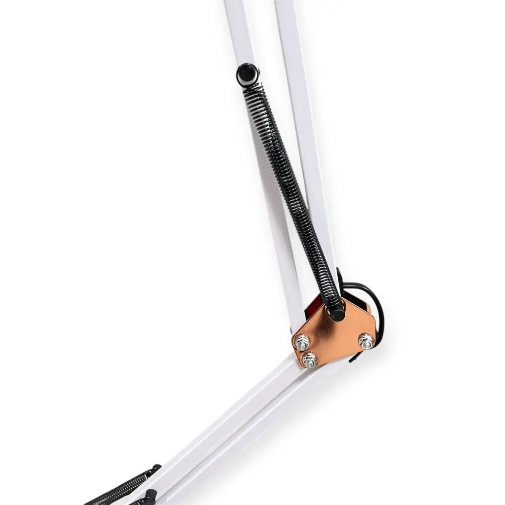 WhatsApp Image 2026-02-17 at 6.25.48 PM.webp