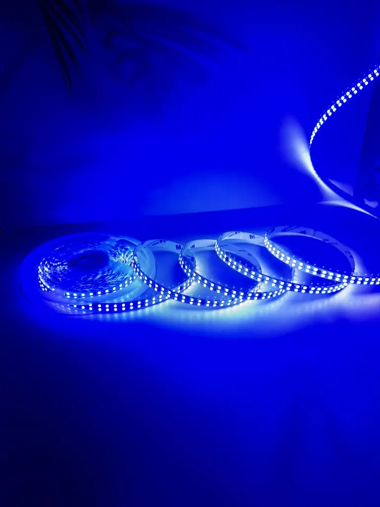 WhatsApp Image 2026-03-26 at 1.47.08 PM.webp