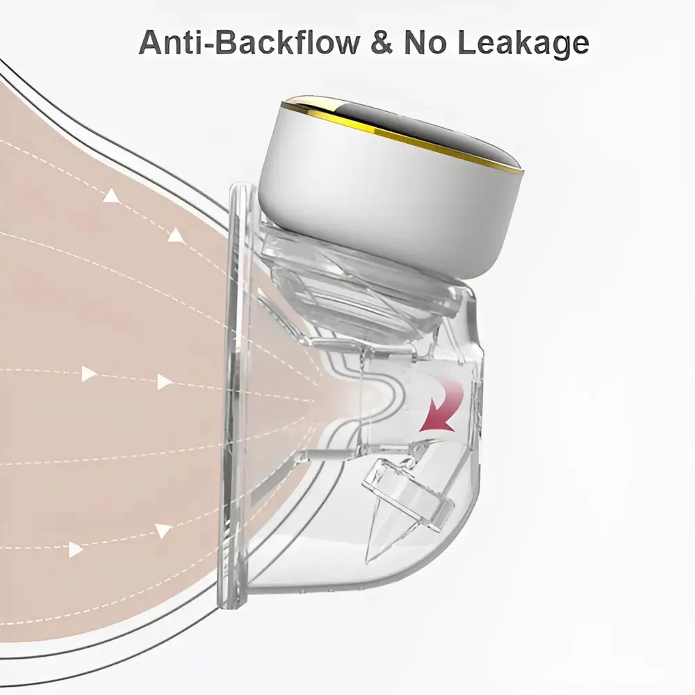 WhatsApp Image 2026-02-04 at 1.02.15 PM.webp