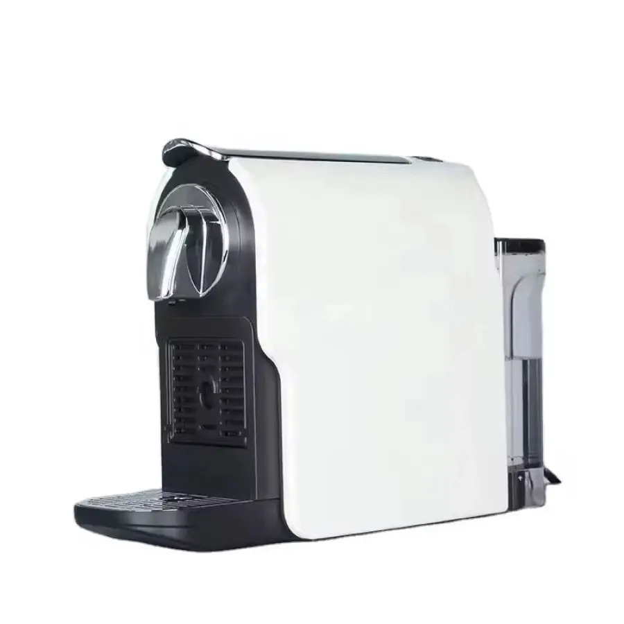 WhatsApp Image 2026-02-04 at 3.03.56 PM.webp